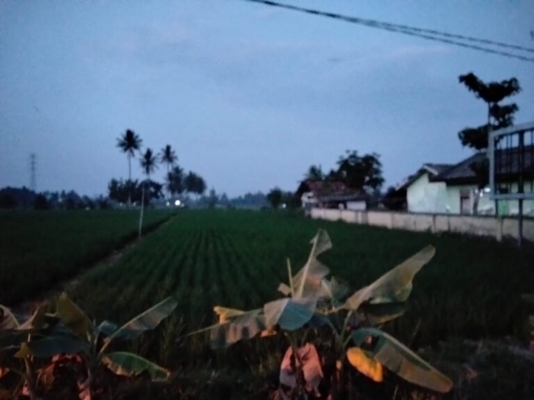 IMG-20260627-WA0033